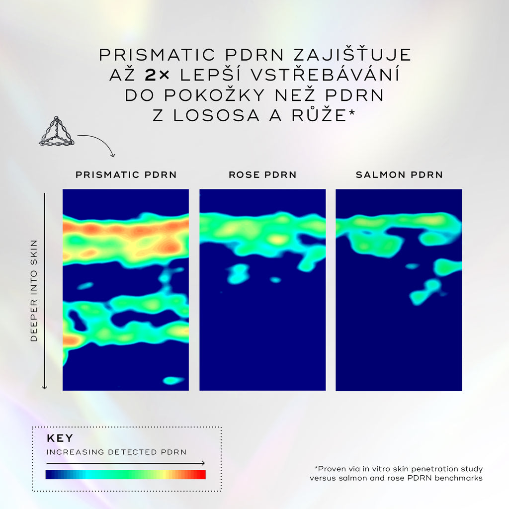 Grafické znázornění porovnávající míru pronikání různých typů PDRN do pokožky pomocí snímků v podobě teplotní mapy. Podle popisku vykazuje Prismatic PDRN dvakrát vyšší absorpci pokožkou než tradiční PDRN, přičemž proniká o 60 % hlouběji. Teplotní mapa pro „PRISMATIC PDRN“ vykazuje výrazně více červené a oranžové barvy (vysoká detekce), která zasahuje hlouběji do pokožky ve srovnání se snímky „ROSE PDRN“ a „SALMON PDRN“.